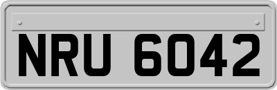 NRU6042