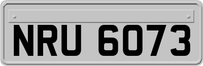 NRU6073
