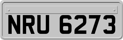 NRU6273