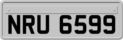 NRU6599