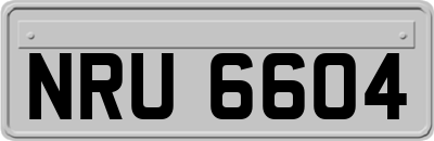 NRU6604