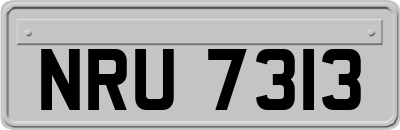 NRU7313