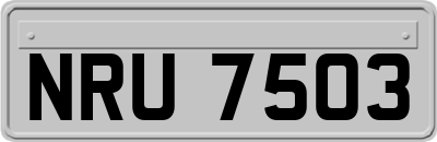 NRU7503