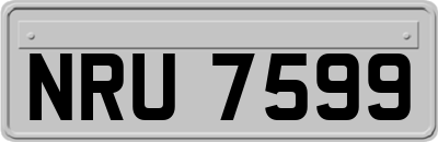 NRU7599