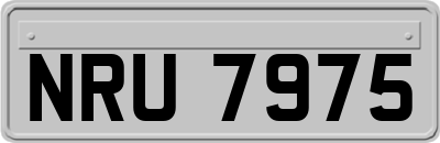 NRU7975
