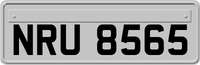 NRU8565