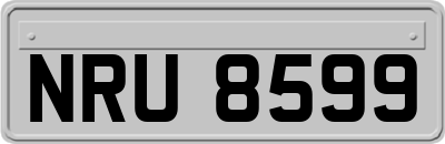 NRU8599