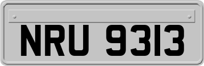 NRU9313