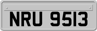 NRU9513