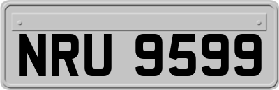 NRU9599