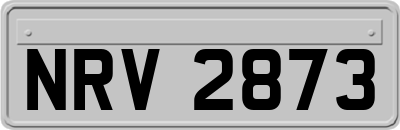 NRV2873