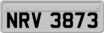 NRV3873