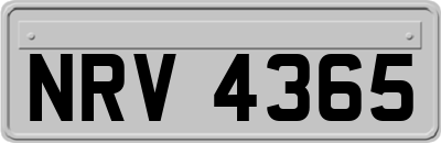 NRV4365