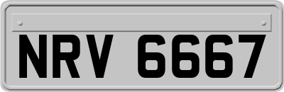 NRV6667