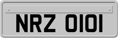 NRZ0101