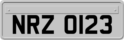 NRZ0123