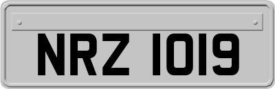 NRZ1019