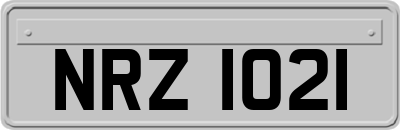 NRZ1021