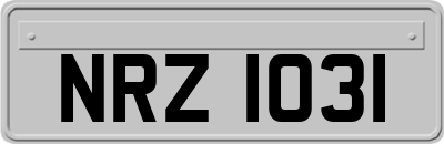 NRZ1031