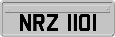 NRZ1101