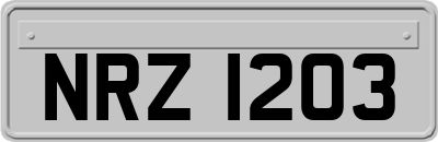 NRZ1203