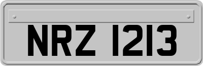 NRZ1213