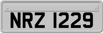 NRZ1229