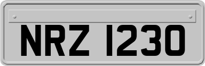 NRZ1230