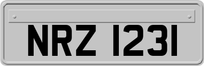 NRZ1231