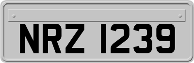 NRZ1239