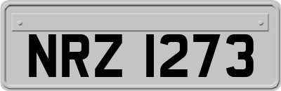 NRZ1273