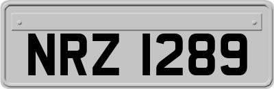 NRZ1289