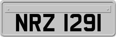 NRZ1291