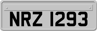 NRZ1293