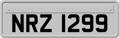 NRZ1299