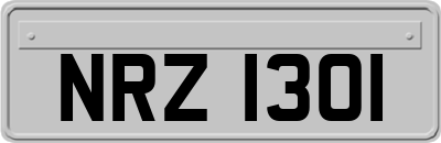 NRZ1301