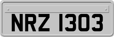 NRZ1303