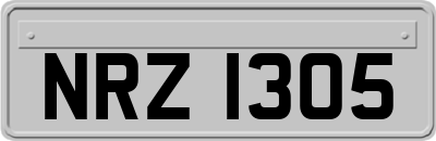 NRZ1305