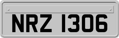 NRZ1306