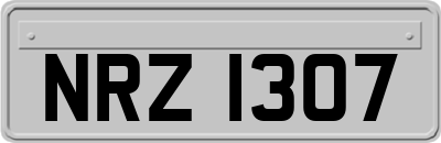 NRZ1307