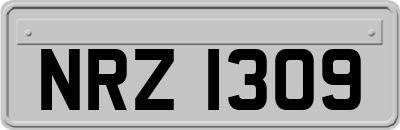 NRZ1309