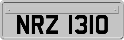 NRZ1310