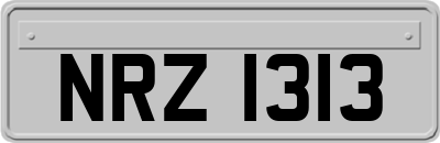 NRZ1313