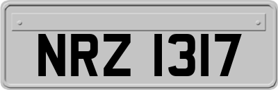 NRZ1317