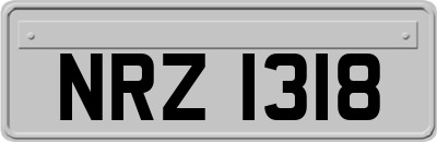 NRZ1318