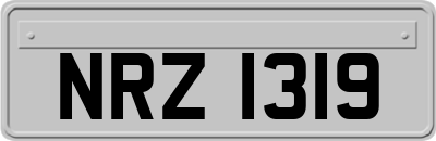 NRZ1319