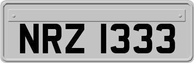 NRZ1333