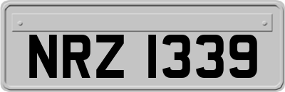 NRZ1339