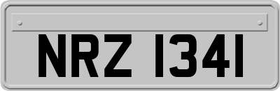 NRZ1341