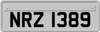 NRZ1389